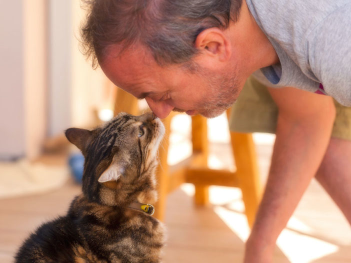 The importance of pets for mental health