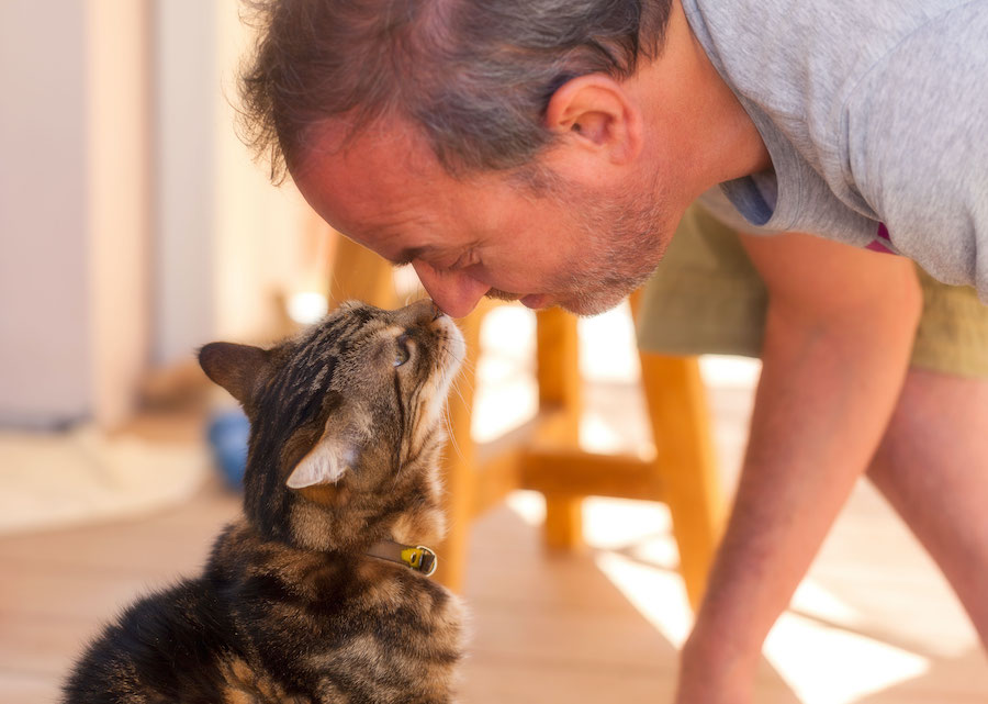 A man touching noses with a cat
